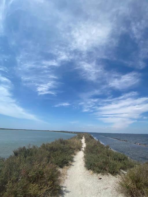 Havre De Paix Avec Jardin Et Clim En Centre Ville De Сет Екстер'єр фото